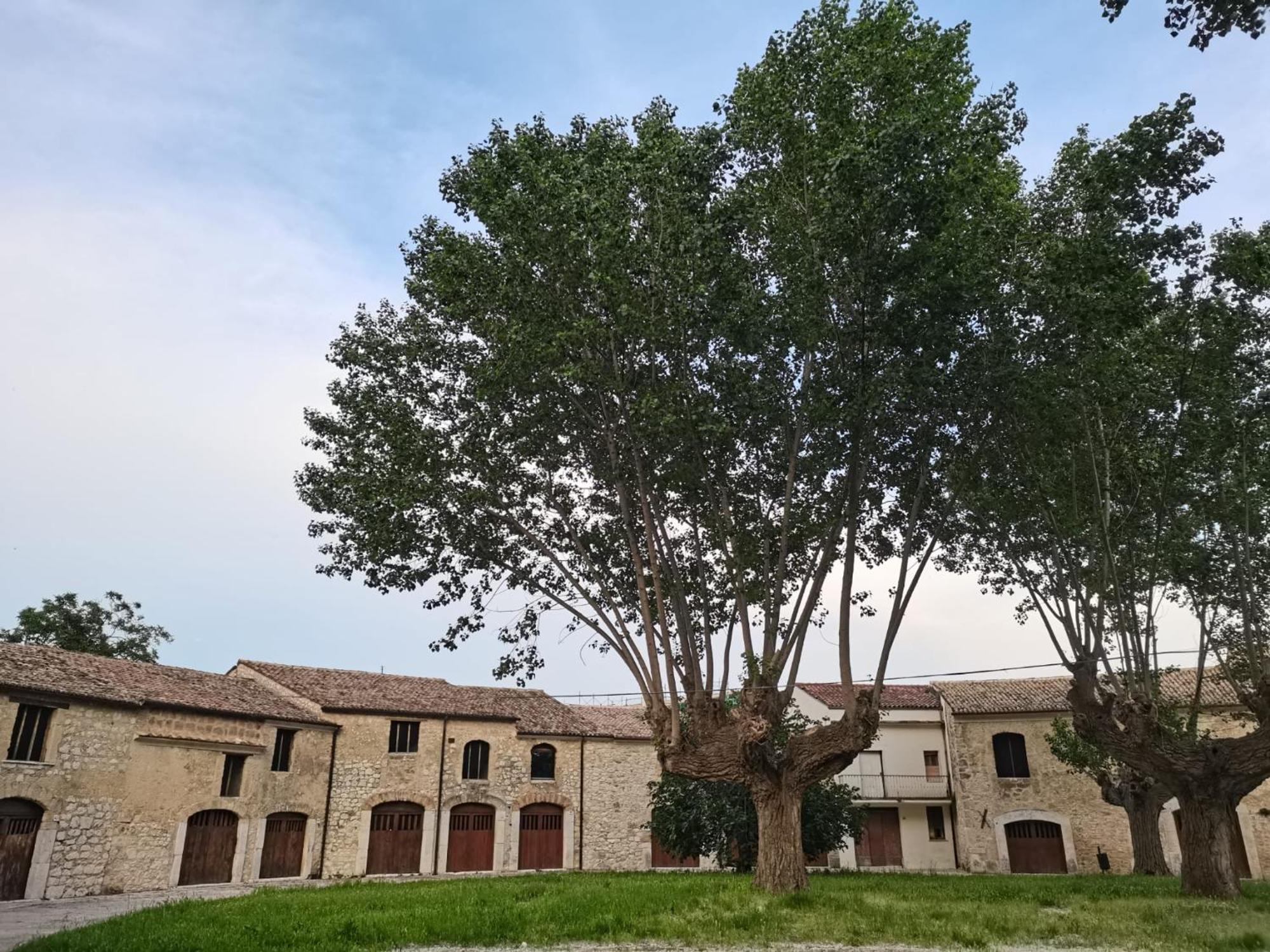 Appartamento Domus Lineker Venafro Esterno foto